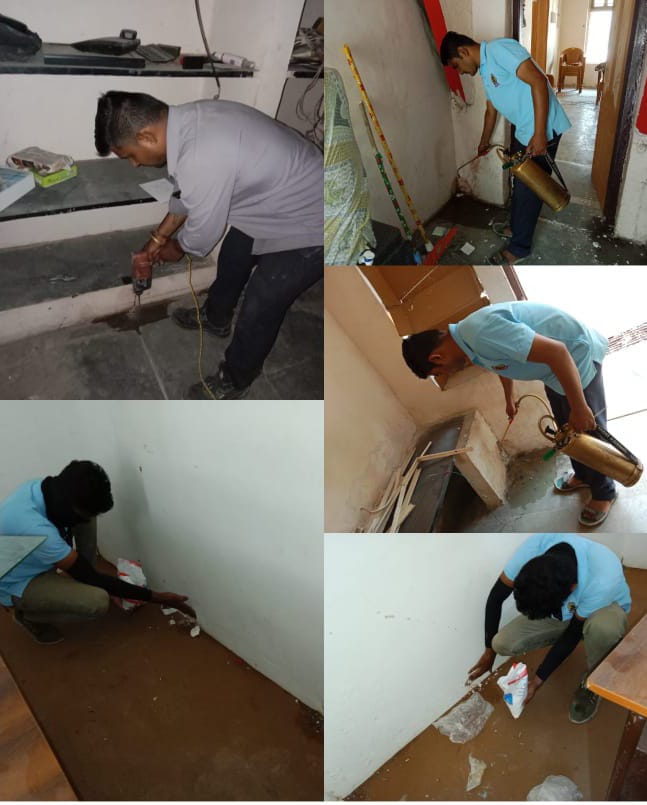 Ekveera Pest Control