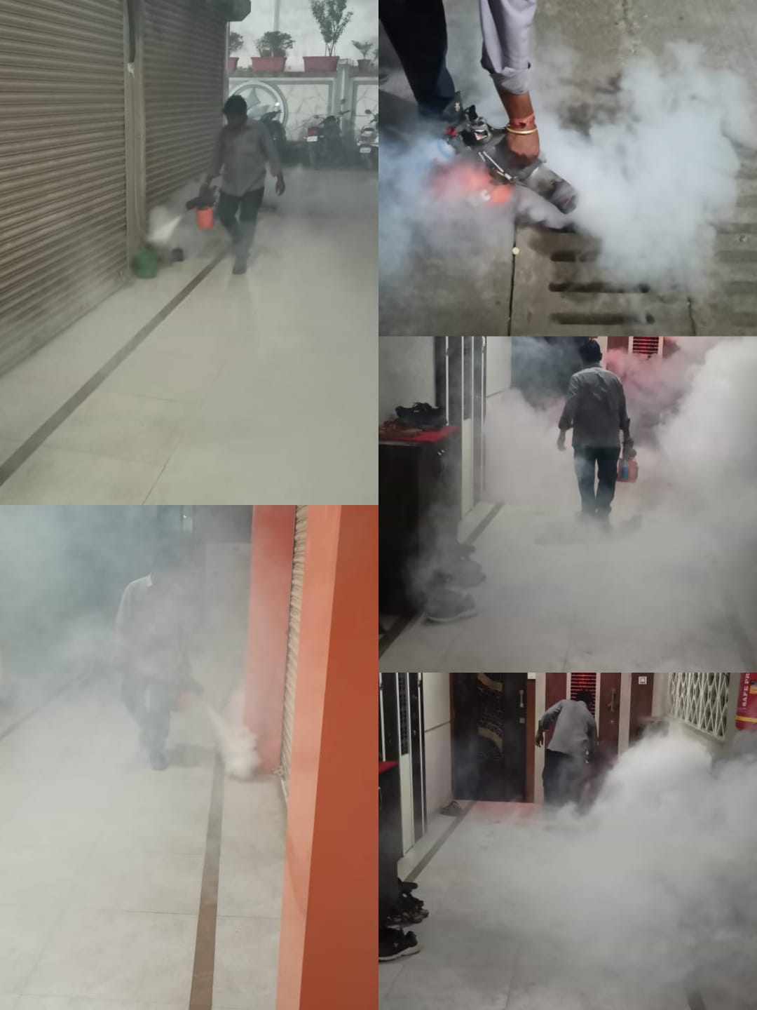 Ekveera Pest Control